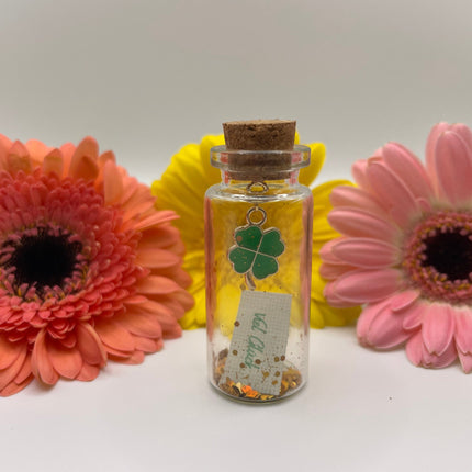 Collection image for: Mini-Flaschenpost