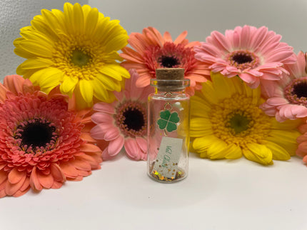 Mini Flaschenpost "Glücksbringer" - Geschenkidee Mama, Papa, Partner, Partnerin, Freunde - Valentinstag, Geburtstag - Personalisierbar