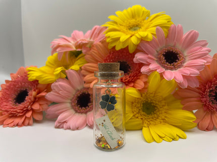 Mini Flaschenpost "Glücksbringer" - Geschenkidee Mama, Papa, Partner, Partnerin, Freunde - Valentinstag, Geburtstag - Personalisierbar
