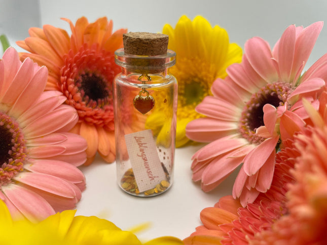 Mini Flaschenpost "Herz" - Geschenk für Valentinstag, Geburtstag oder Jahrestag für Sie und Ihn - Freund & Freundin - Personalisierbar