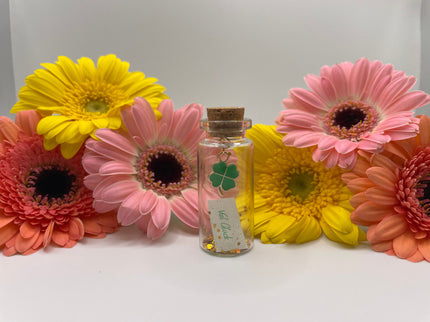 Mini Flaschenpost "Glücksbringer" - Geschenkidee Mama, Papa, Partner, Partnerin, Freunde - Valentinstag, Geburtstag - Personalisierbar