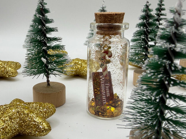 Mini Flaschenpost Weihnachtsedition – süßes Wichtelgeschenk | Mini Geschenk Weihnachten mit Anhänger Weihnachtsbaum oder Zuckerstange